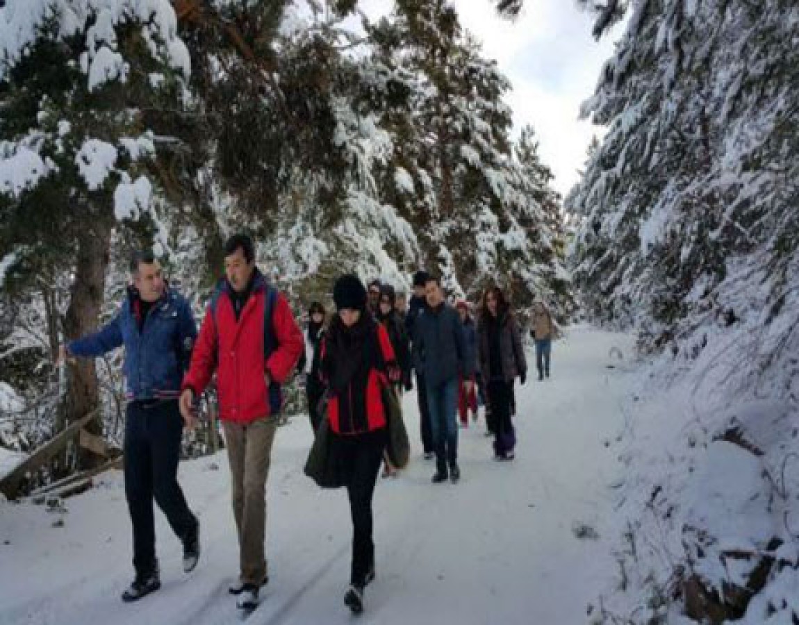 Rehberlik Hizmetleri görsel 2