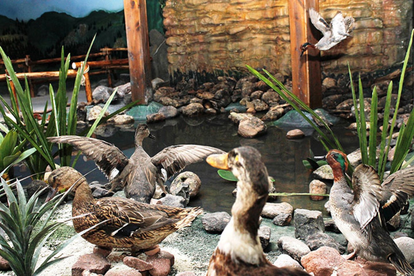 Müze atmosferi – ses ve doğa kurgusu