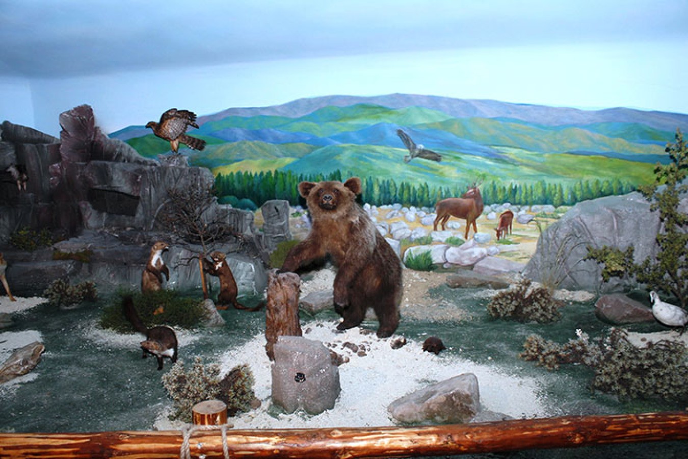 Müze içinden görünüm – koleksiyon seçkisi