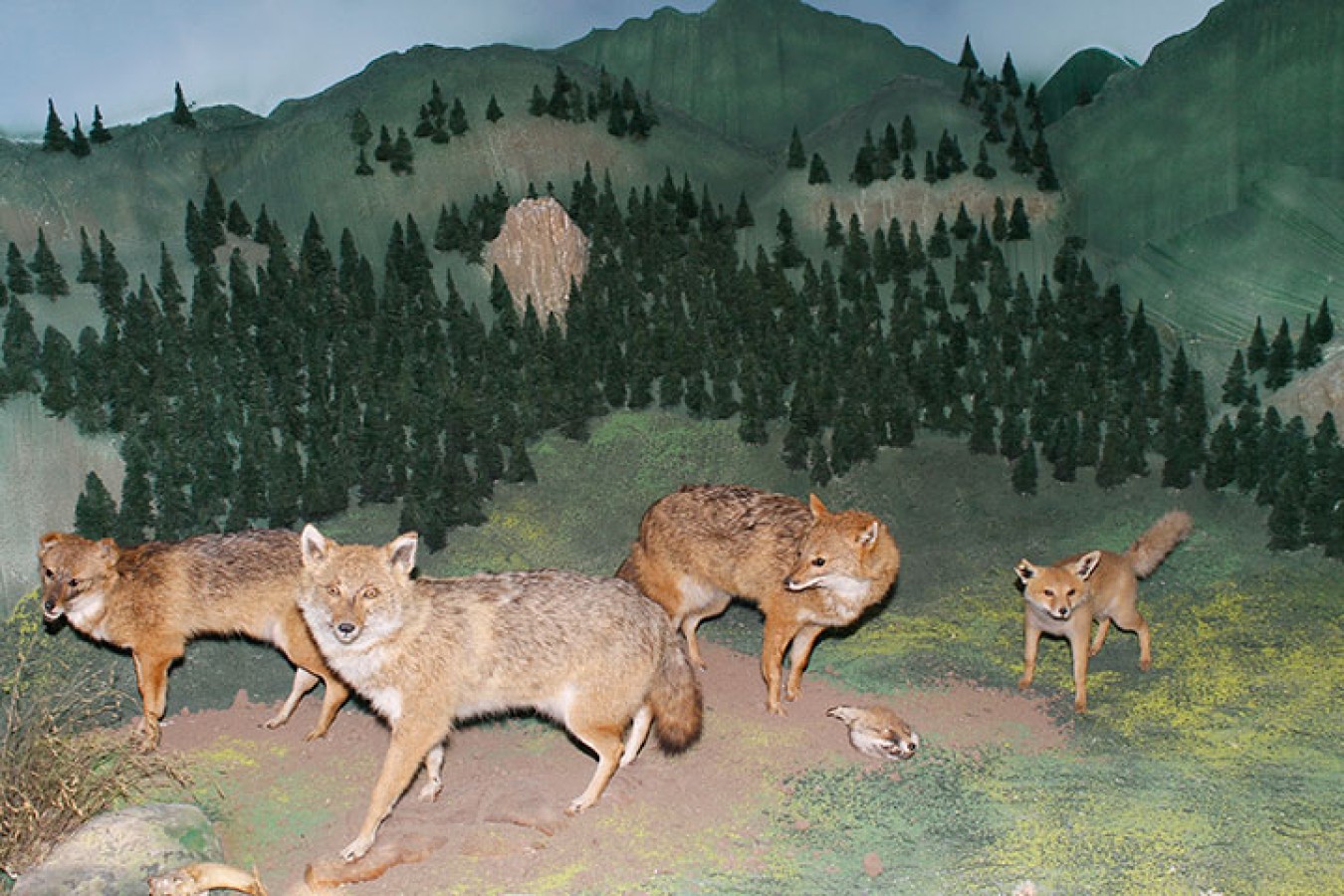 Sergi alanından bir kesit