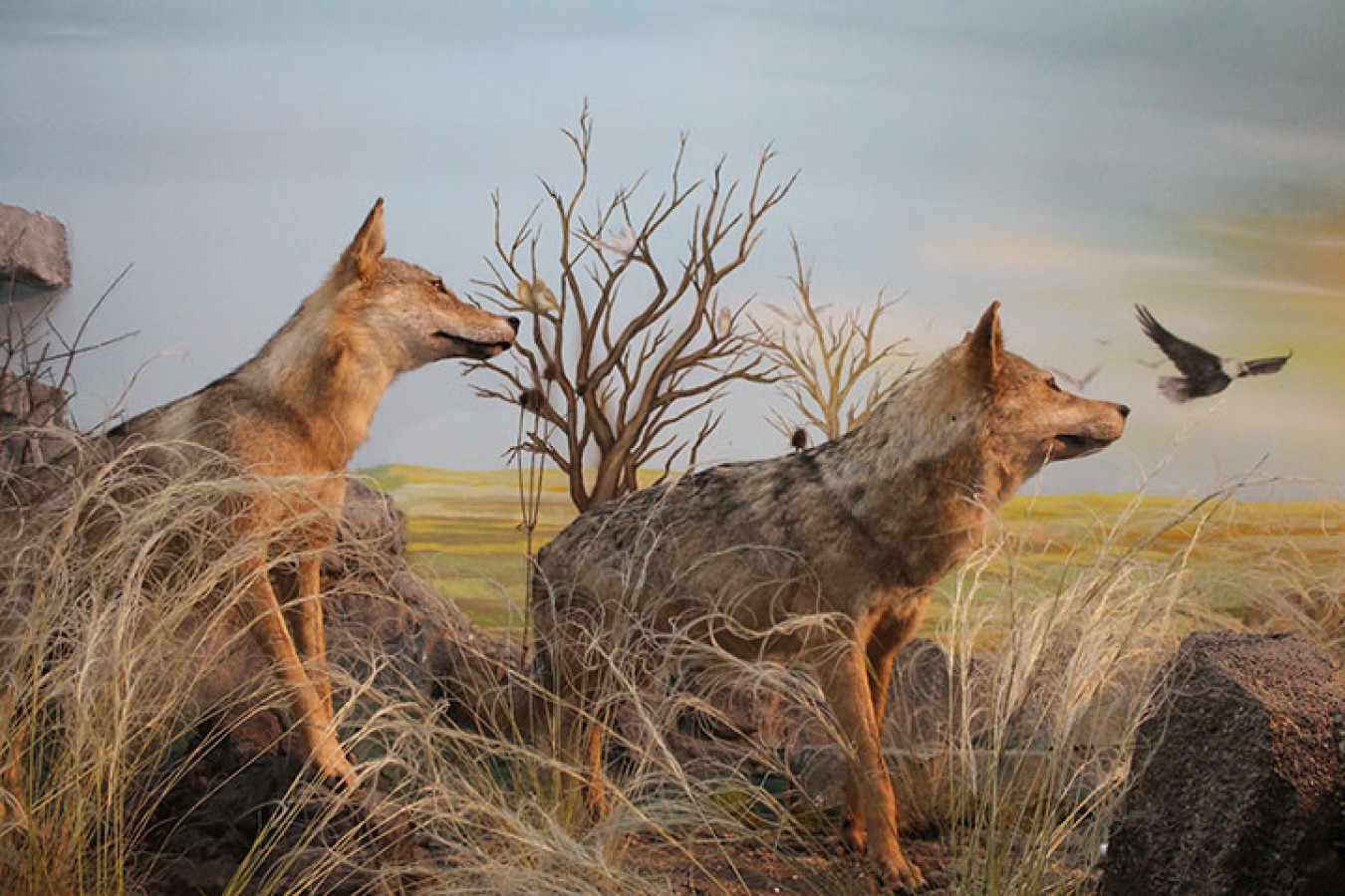 Koleksiyondan seçkiler