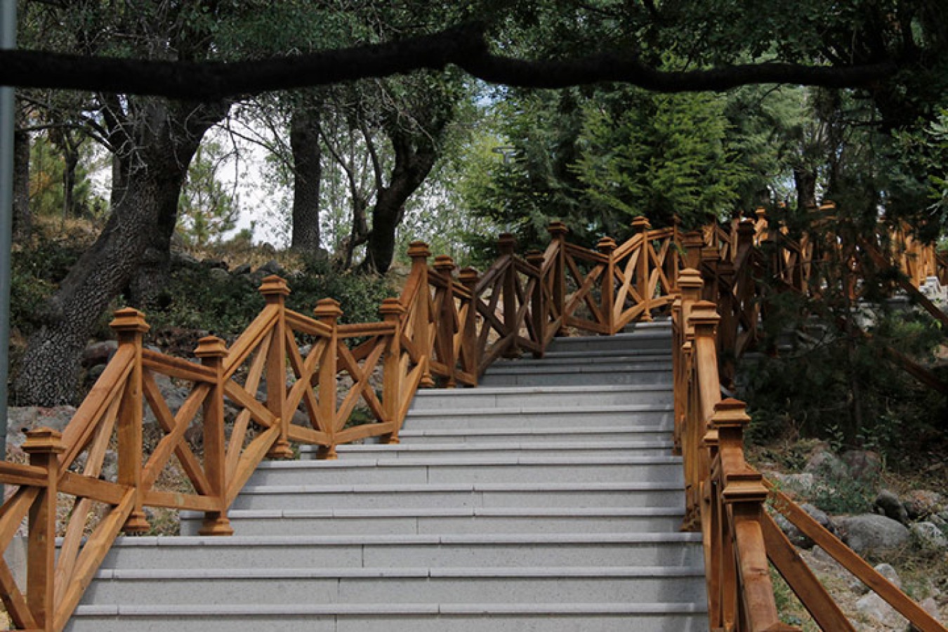 Tarihi yaşam kesiti